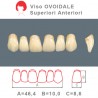 Denti Resina Anteriori Superiori - viso Ovoidale 48