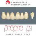 Denti Resina Anteriori Superiori - viso Ovoidale 49